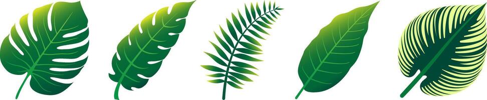 Set of tropical leaf illustrations in flat gradient style. Perfect for summer, botanical themes, nature backgrounds, eco designs, or tropical graphic projects. vector