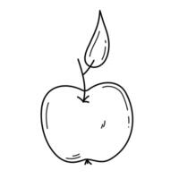 Doodle hand drawn apple with leaf. Simple outline illustration isolated on a white background. Editable stroke vector