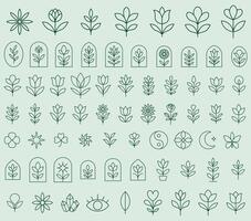 Minimalist floral and botanical icon set featuring elegant hand-drawn line art illustrations. vector