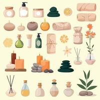 variety of essential oils and candles vector