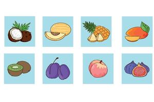 A Vibrant and Colorful Collection of Fresh Tropical Fruits for Your Viewing Pleasure vector