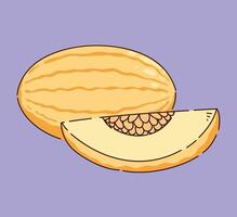 A fresh melon and a slice displayed on a vibrant purple background that stands out vector