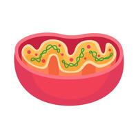 Vibrant cartoon depiction of a mitochondrion showcasing its internal structures in a simplified, educational style. vector