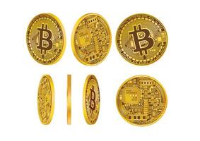 Array of Bitcoin cryptocurrency coins displayed from various angles showing intricate circuit patterns and approval markings. vector