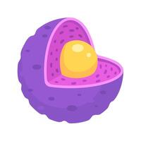 Animal cell nuclear structure for science study vector