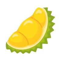 Fresh Durian Fruit with Spiky Shell and Creamy Yellow Flesh vector