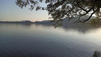 Sunset on the lake with a tree in the foreground and mountains in the background photo