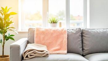 Cozy Living Room With a Soft Blanket Draped Over a Modern Couch by a Bright Window photo