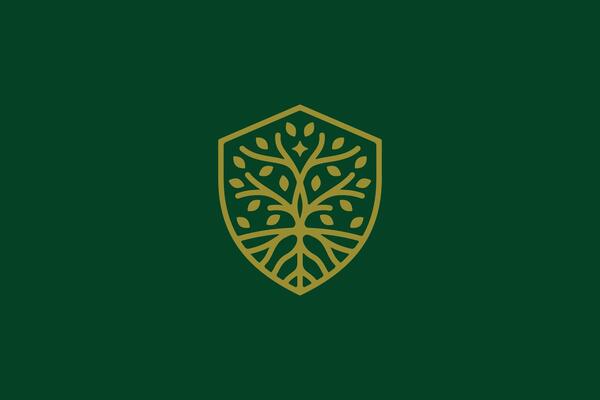 Wood Tree Abstract Linear Shield Shape Forest Protection Logo Concept