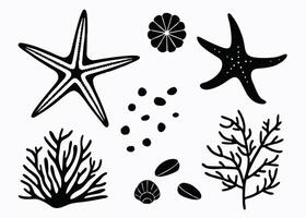 Black and white coastal elements illustration featuring starfish coral shells and seaweed for design vector