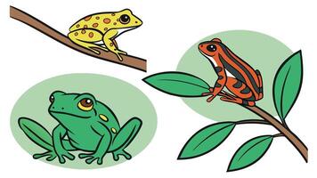 Cartoon illustrations of colorful frogs in different poses representing various amphibian species vector