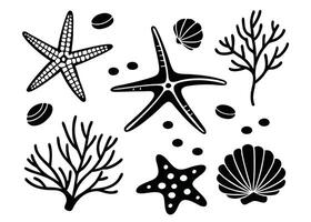 Black and white coastal marine elements illustration of starfish coral shells and pebbles design vector