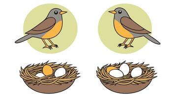 Cute illustration of a bird with two nests containing eggs for spring season or educational purposes. vector