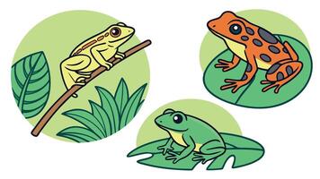 Three colorful cartoon frogs in their natural habitats with leaves and green circles for decorative elements vector