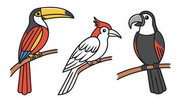 A colorful illustration featuring three distinct birds perched on branches in a clean cartoon style vector