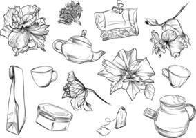 Set of hibiscus tea elements vector