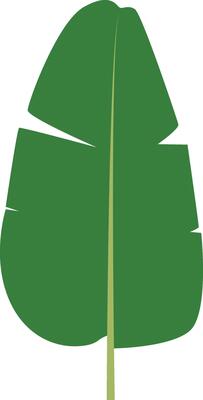 Tropical Leaves Clipart Isolated on White Background