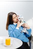 Woman cuddling her cute dog at the bar while drinking orange juice photo