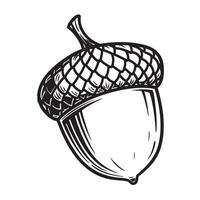 Detailed black and white silhouette illustration of an acorn symbol on a white background vector
