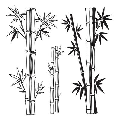 Black and white bamboo silhouette illustration of decorative elements on white background