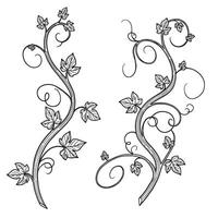Elegant black and white silhouette of two vine stems with leaves and decorative swirls vector