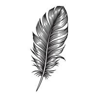 Detailed black and white engraved illustration of a single feather representing freedom elegance and tranquility on white background vector