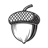Detailed black and white acorn illustration perfect for fall autumn themed design elements vector