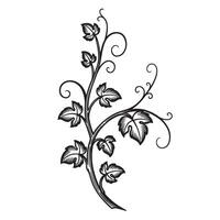 Elegant black and white silhouette design of a grapevine with intricate foliage and swirls vector