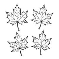 Simple silhouette of four maple leaves on white background suitable for design elements vector