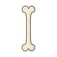 illustration of Simple Bone vector