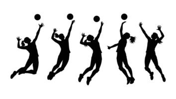 Dynamic Silhouettes of Female Volleyball Players in Action, Capturing the Energy and Intensity of the Game vector