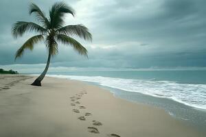 Lonely palm tree on a tranquil beach footprints in the sand under a cloudy sky ocean waves gently lapping the shore photo