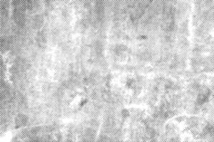 grunge halftone black dost texture vector