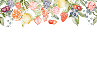 Watercolor illustration of a seamless border frame made of assorted fruits and berries. Hand drawn botanical elements create a colorful fresh summer design perfect for packaging or decoration. png