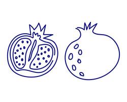 Detailed illustration showing the inside of a pomegranate and whole fruit on a white background vector