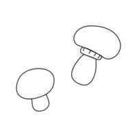 Mushrooms growing naturally in a forest setting, showcasing unique shapes and textures during daylight hours vector