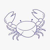 Crab illustration showcasing detailed features and characteristics of marine life in a simple design vector