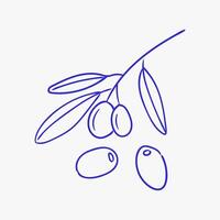 Olive branch with olives drawn in simple line art style on a white background showcasing fresh olives and leaves vector