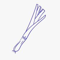 Fresh green onions ready for use in a variety of culinary dishes in the kitchen setting vector