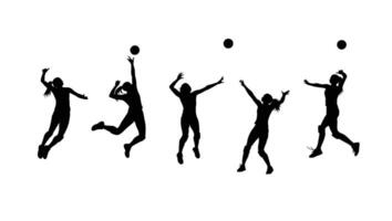 Dynamic Silhouettes of Female Volleyball Players in Action, Displaying Powerful Leaps and Serves Against a White Background vector
