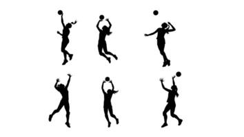 Dynamic Silhouettes of Female Volleyball Players in Action, Showing Powerful Serves, Spikes, and Sets Against a Clean White Background vector