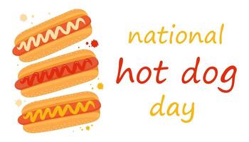 National Hot Dog Day banner. illustration on a white background. Hot dog in a bun with mustard, ketchup, mayonnaise, and a drop of sauce. vector
