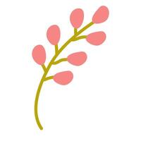 Colorful botanical illustration of a flower branch with pink buds on a simple white background vector