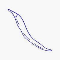 Detailed drawing of a chili pepper on a blank background showcasing its elongated shape and smooth texture vector