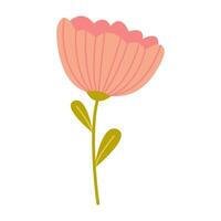 Flower illustration featuring soft pink petals and green leaves on a simple white background vector