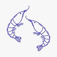 Two detailed line drawings of shrimp facing each other on a plain background in a minimalist style vector