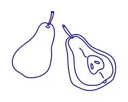Outline drawings of ripe pears on a plain background showcasing their unique shapes and details vector