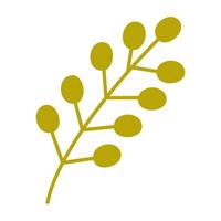 Botanical illustration of a leaf branch showcasing green berries against a white background vector