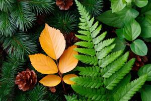 Green fern and orange autumn leaves creating beautiful fall pattern with pine cones and needles photo