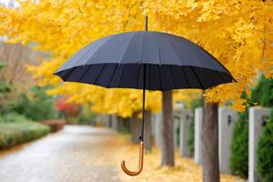Black umbrella floating in the air in autumn photo